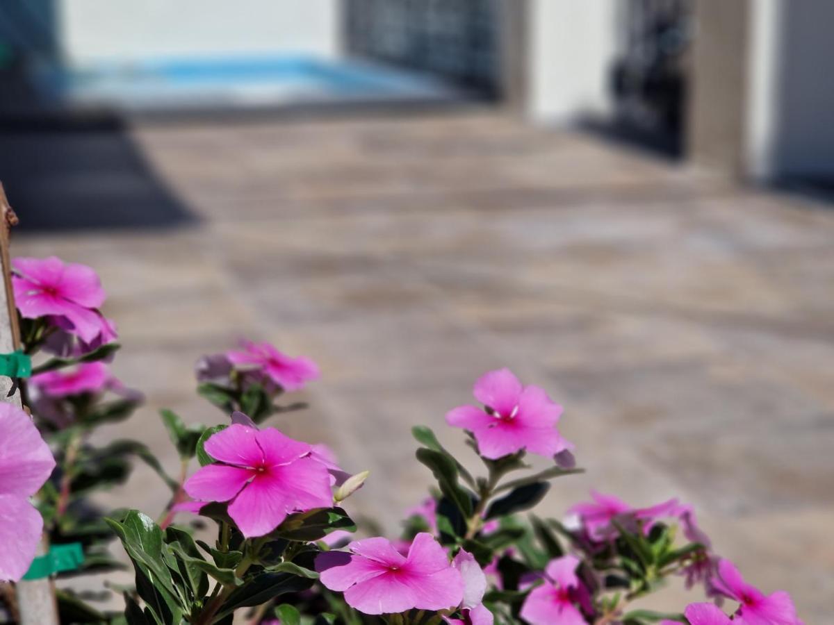 Del Parque Flats Balneario De Pina Villa Malaga Exterior photo